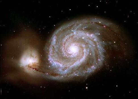 polar bear constellation legend