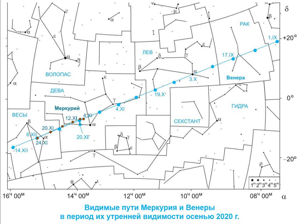 M V 11 2020.png