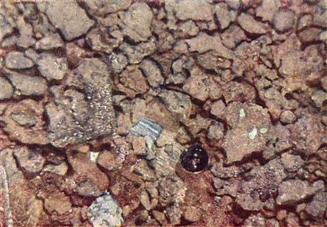 Samples of lunar rock