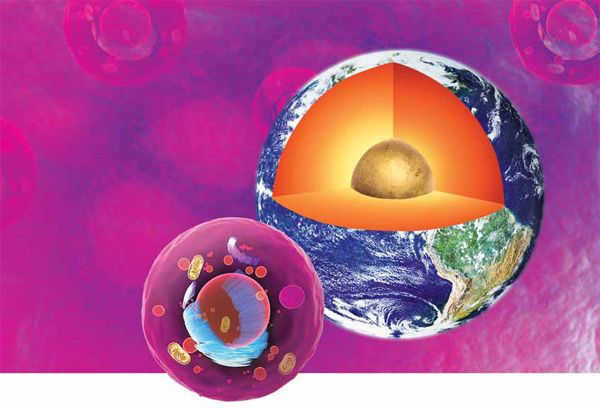 Image: Ecology and Life