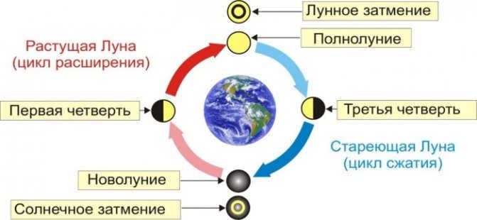 Orienteering by stars on the terrain, by the Moon, the Sun, the clock. Methods, rules, devices