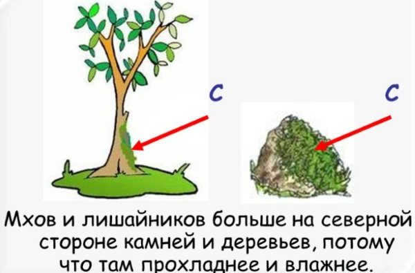 Orienteering by stars on the terrain, by the Moon, Sun, clocks. Methods, rules, devices