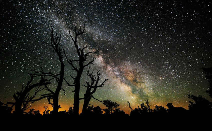 Milky Way in summer