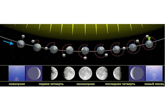 The relationship of the Moon's phases to its position relative to the Sun and Earth, when viewed from Earth's Northern Hemisphere