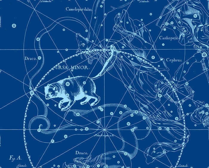 Polaris Astronomy, Space, Stars, History, Myths, Polaris, Navigation, Video, Longpost