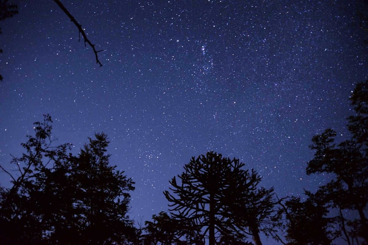 famous constellations