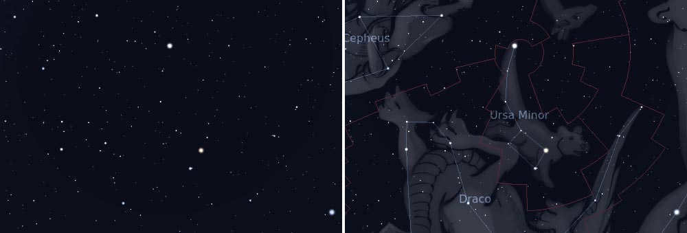 polar bear constellation