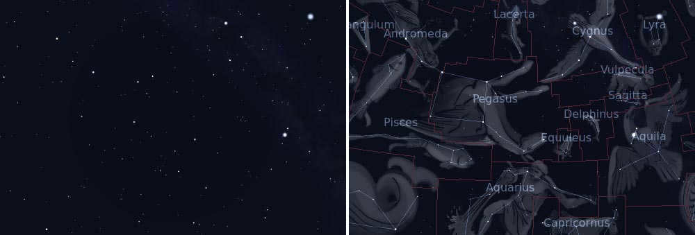 Pegasus constellation in the starry sky