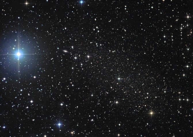 The Little Bear dwarf galaxy