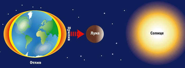 How tides are created by the impact of our satellite