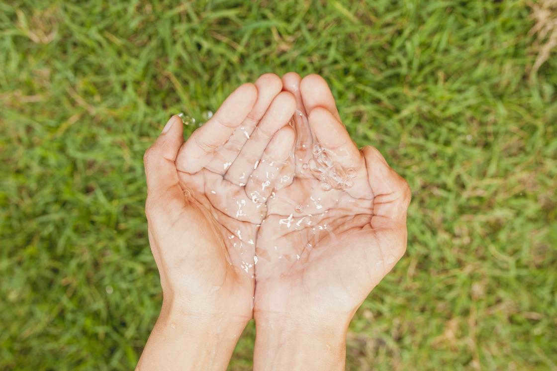 Palms with collected dew