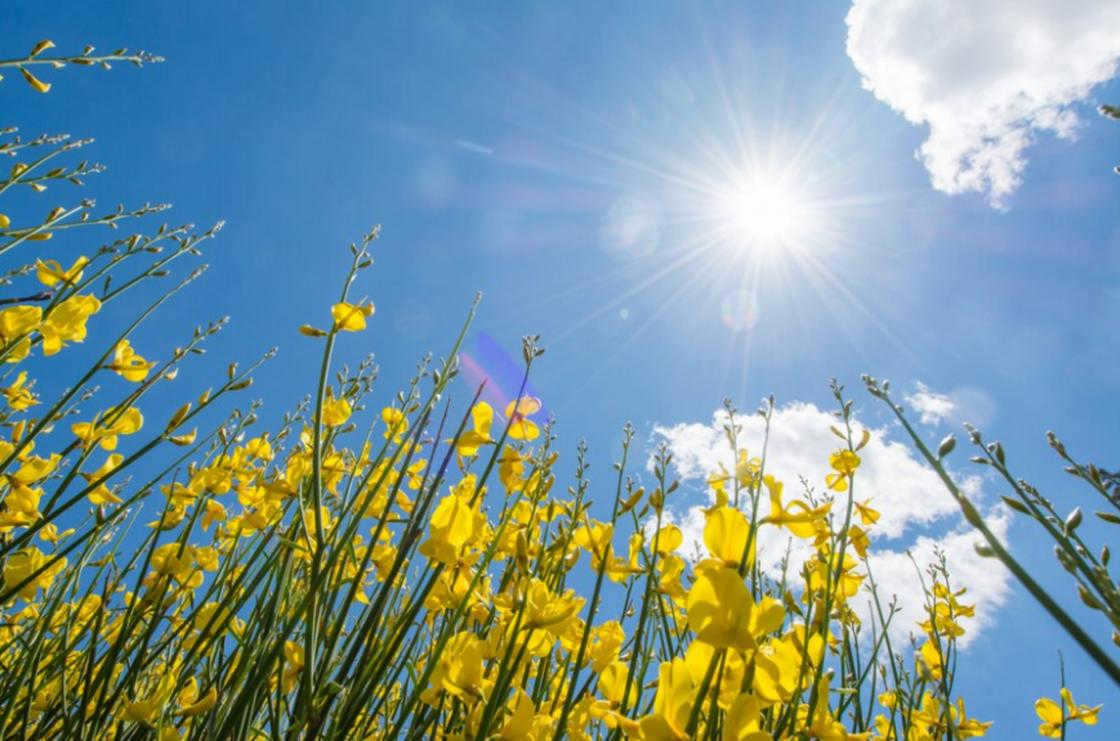 The sun is at its zenith