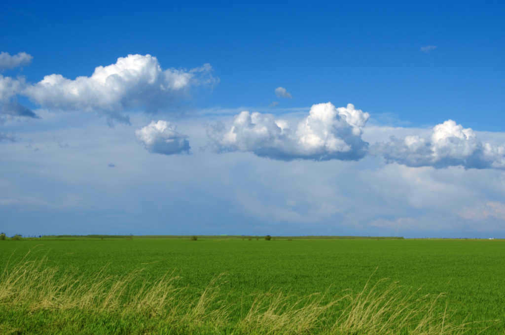 Why is the sky blue?