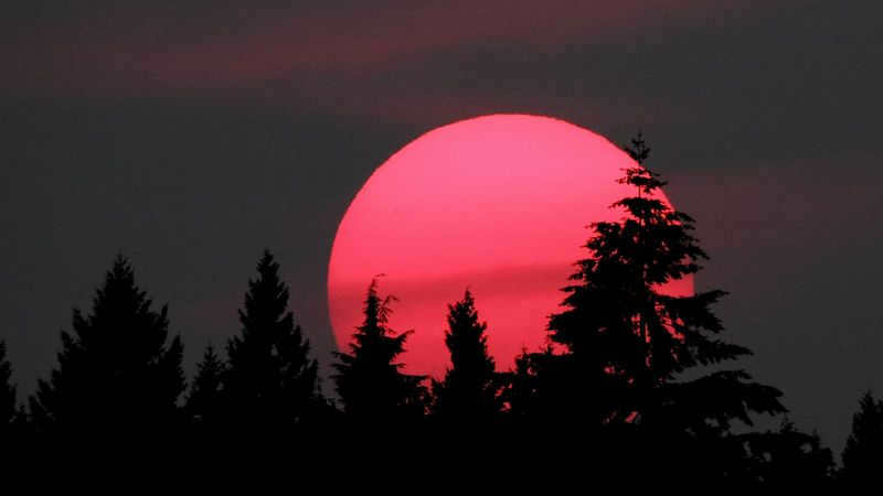 Red Sun at sunset