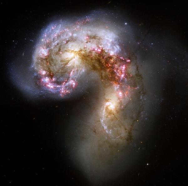 Types of galaxies in the Universe