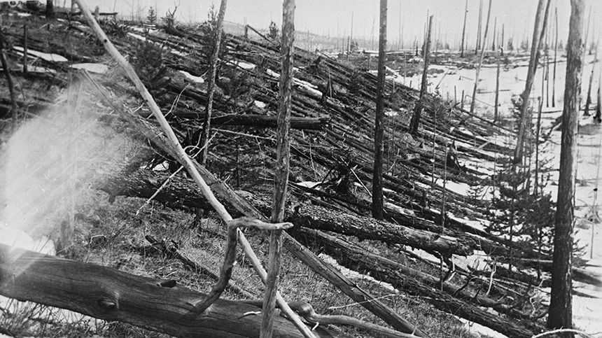 A view of a burned forest in the area of the Tunguska meteorite explosion. 