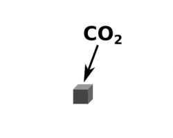 Carbon dioxide in Earth's atmosphere