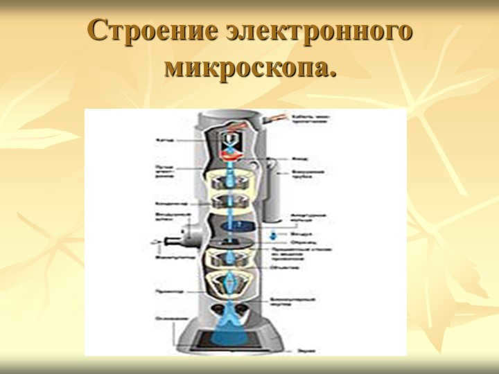 The structure of an electron microscope.