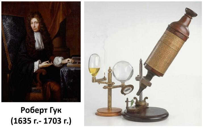 Robert Hooke's conjectures