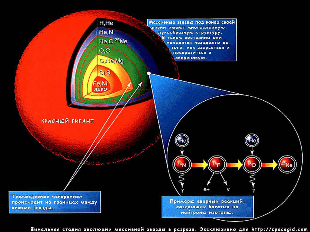 Final stage of evolution of a massive star in section