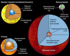 Structure of different stars