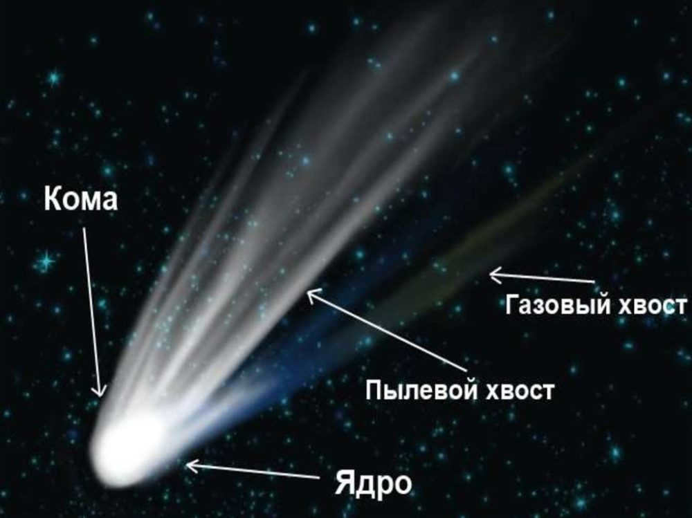 The nucleus and tail of Halley's Comet