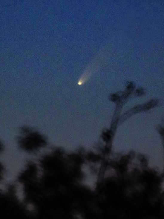Halley's Comet: Observational History from Antiquity to the Present Day