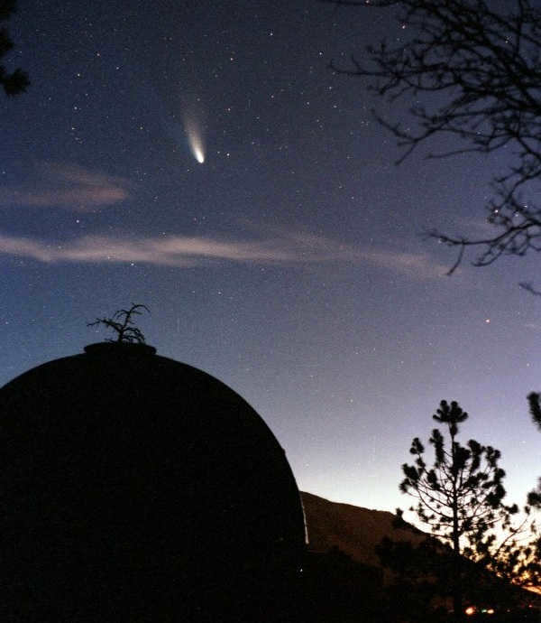 Halley's Comet: Observational History from Antiquity to the Present Day