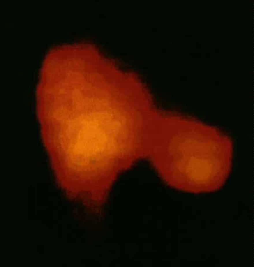 An image of Halley's Comet retrieved in 1986 by the Russian Vega-2 spacecraft. The closest approach for Vega-1 was 8,890 kilometers, and for Vega-2 it was 8,030 kilometers