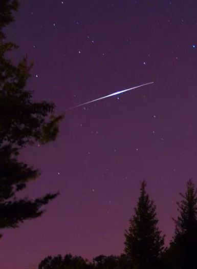 Halley's Comet: Observational History from Antiquity to the Present Day