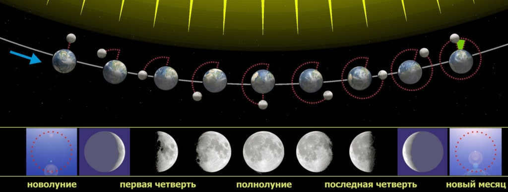 Phases of the Moon