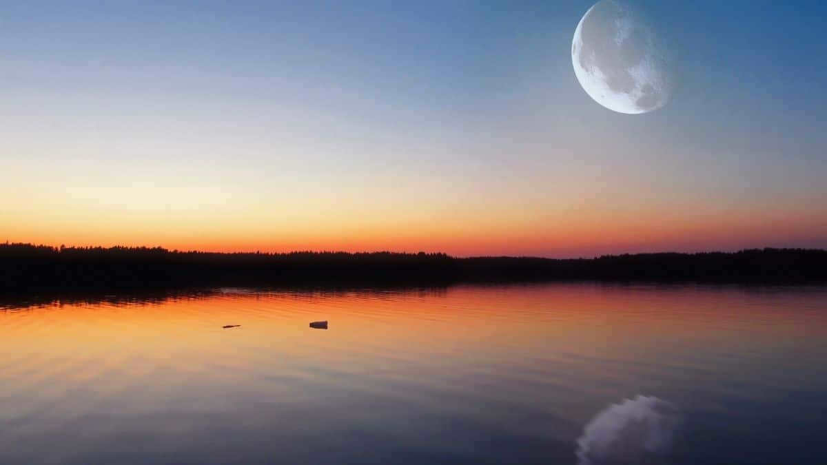 Moon light