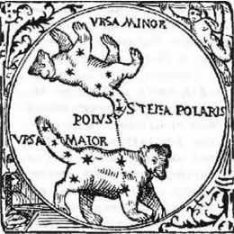 Polaris is the tail of the Bear