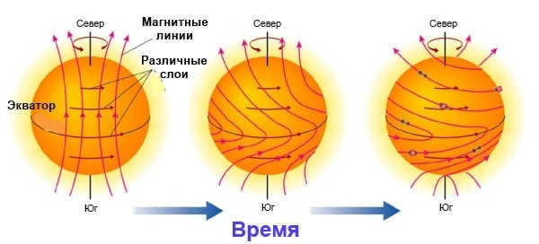 Features of the Sun's rotation