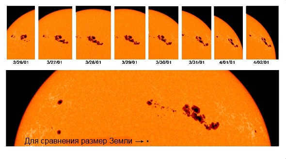 Sunspot motion