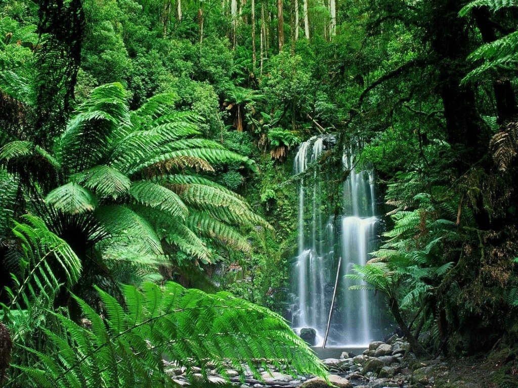 Equatorial Climate