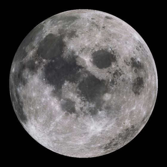 The mass of the moon is 7.36 × 1022 kg and its distance from Earth is 3.84 × 108 m. What is the gravitational force of the moon on the earth? The strength of the moon is what percentage of the strength of the sun?