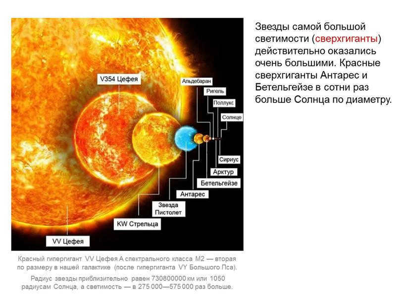 The highest luminosity stars (supergiants) have been found to be very large indeed.