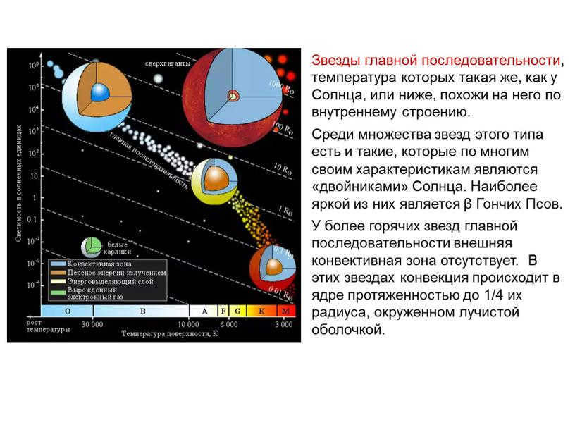 Main-sequence stars, which have the same temperature as the