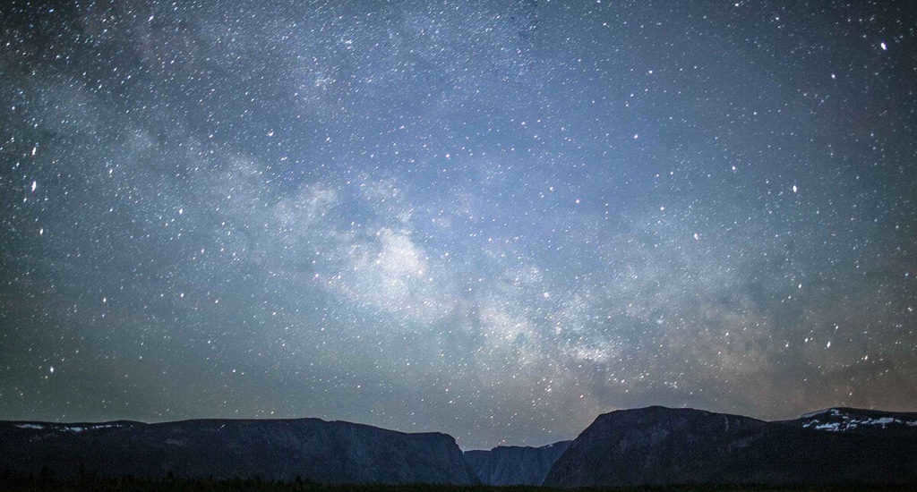 Stars of the Milky Way Galaxy