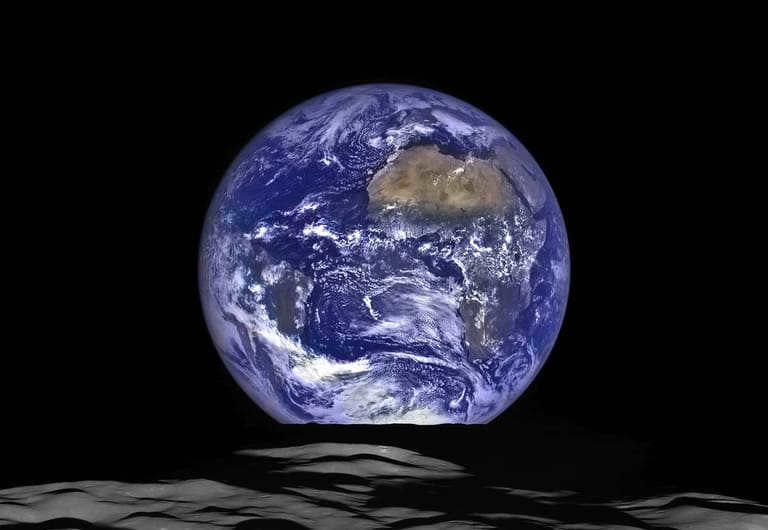 Read more about Article 40 Earth's wild things you didn't know about