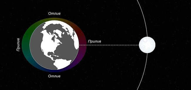 The moon's influence on the tides