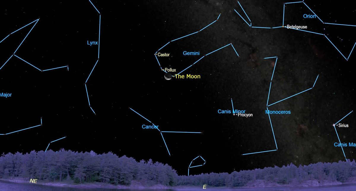 All about the star Castor from the constellation Gemini.