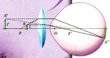 Optical instruments. Loupe