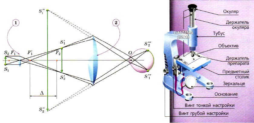 Microscope