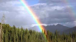 rainbow