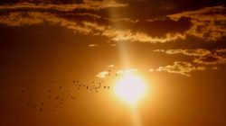 sun