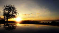 sun