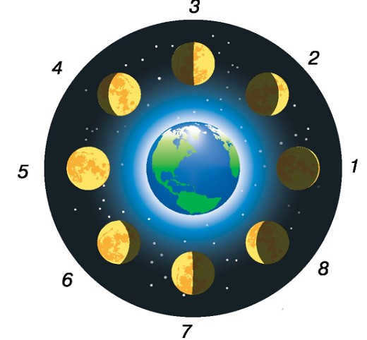 Phases of the Moon