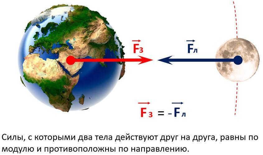 newton's third law